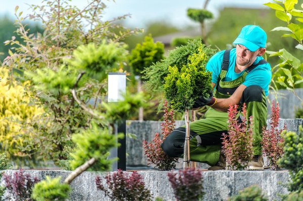 Création et entretien de jardins avec votre paysagiste à pau, lascassies espaces verts