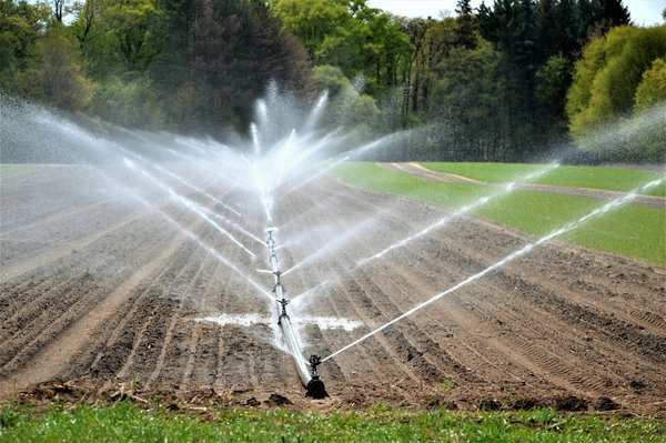 Système d'irrigation : des solutions durables pour tous
