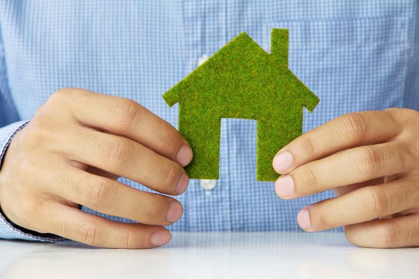 Inspiration verte : 10 conseils pour une vie durable